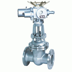 Z941H electric flange gate valve